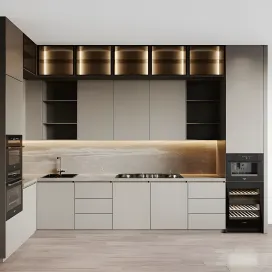 Kitchen modern